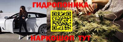 Альфа ПВП Можга